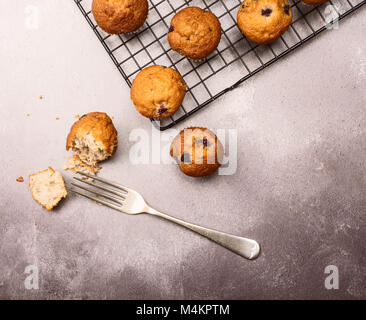 Muffins aux bleuets fraîchement cuits sur une grille de refroidissement Banque D'Images