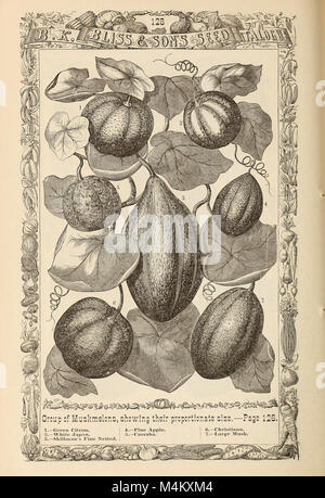 Le catalogue 1876 de B.K. Bliss & son propose un guide illustré des fleurs et des jardins potagers. Il offre des conseils pratiques sur la plantation, la culture et l'entretien de diverses plantes, destinés aux jardiniers amateurs, en mettant l'accent sur les fleurs et les légumes adaptés à la plantation de printemps. Banque D'Images