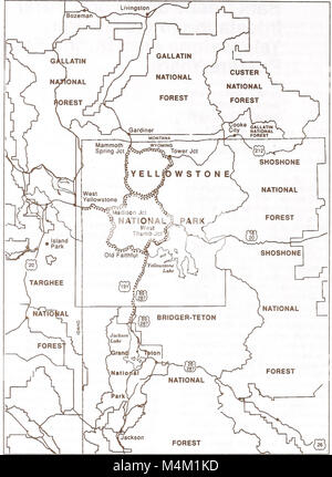 L'agrile du frêne et le bois du scolyte de l'infestation dans la zone du Grand Yellowstone pendant quatre ans après feu (1996) (19732516493) Banque D'Images