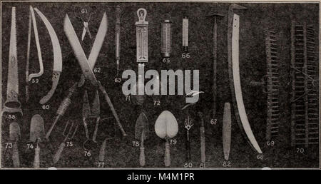 Barnardâ€™s graines, bulbes, arbustes (1918) est un catalogue présentant une variété de plantes disponibles à l'achat, y compris des graines, bulbes et arbustes. Il offre des détails sur le soin et la culture des plantes, soutenant les amateurs de jardinage et d'horticulture. Banque D'Images