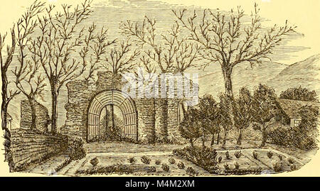 Annales et antiquités de comtés et les familles du comté de Galles ; contenant un enregistrement de tous les rangs de la gentry avec de nombreux pedigrees anciens et monuments commémoratifs d'ancien et de familles éteintes (1872) (14778075071) Banque D'Images