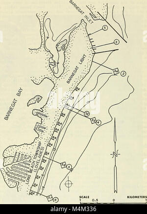 Les changements de plage à Long Beach Island, New Jersey, 1962-73 (1980) (20350114232) Banque D'Images