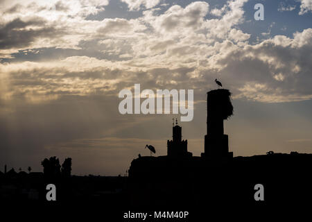 Silhouette de deux cigognes sur une cheminée avec des nuages en arrière-plan Banque D'Images