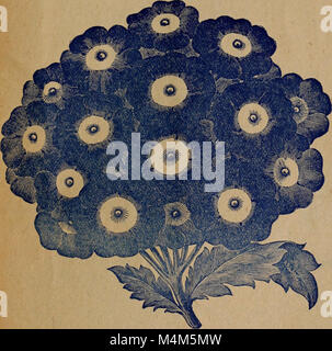 Le catalogue de semences 1902 de Bell offre une variété de semences abordables et de haute qualité pour les jardiniers, mettant l'accent sur la facilité de croissance et la culture réussie des plantes dans différents climats. Banque D'Images