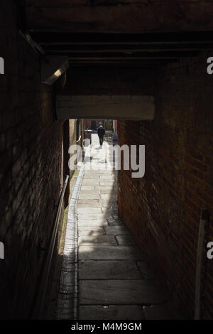 Figure de l'allée sombre way,UK. Banque D'Images