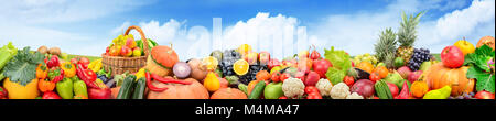 Panorama des fruits et des légumes contre contexte champ vert et ciel clair. Copy space Banque D'Images