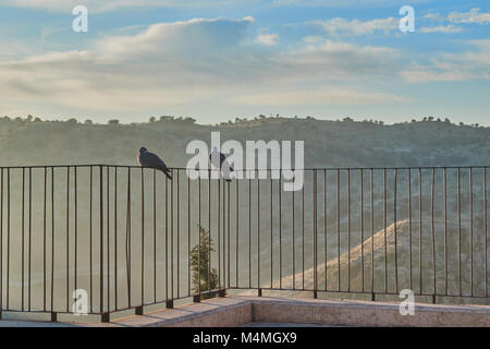 Couple de pigeons perché sur main courante d'un point de vue au lever du soleil à Tolède, Espagne Banque D'Images