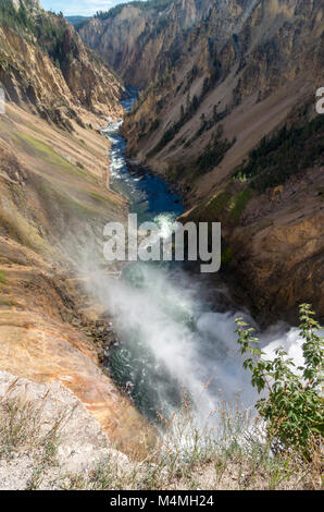 Grand Canyon de la Yellowstone vu du bord de la Lower Falls donnent sur. Le Parc National de Yellowstone, Wyoming, USA Banque D'Images