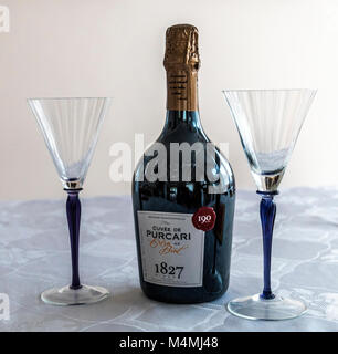 Bouteille de vin mousseux avec deux verres de champagne, fond clair Banque D'Images
