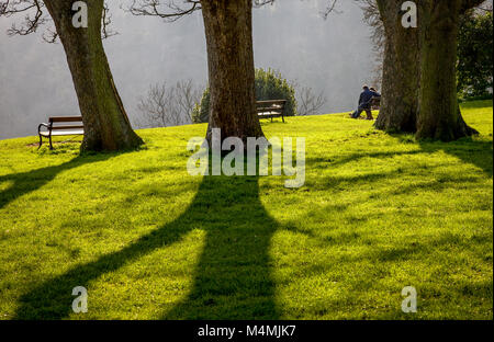 Soleil du printemps silhouetting arbres et un couple sur un banc de parc près du bord de l'Avon Gorge, dans le village de Clifton Bristol UK Banque D'Images
