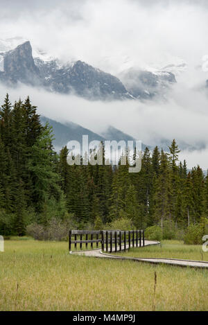 Canmore, Alberta, Canada. Le ruisseau du policier Boardwalk sous un ciel couvert, du printemps de l'orientation verticale. Banque D'Images