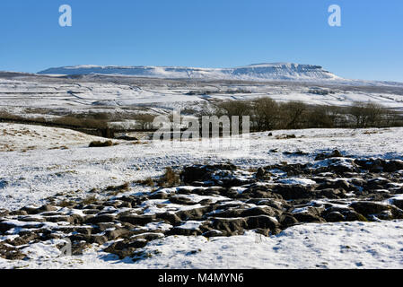 Pen-y-ghent de Gauber Road. Yorkshire Dales National Park, Yorkshire, Angleterre, Royaume-Uni, Europe. Banque D'Images