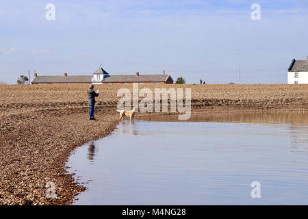 La côte du Suffolk. Feb 17, 2018. Météo France : Chien prend un plongeon en plein soleil d'hiver sur la côte du Suffolk à Shingle Street près de Woodbridge. Banque D'Images