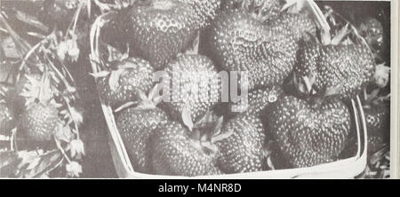 Berry bros 1972 livre - Rayner (1972) (20358565442) Banque D'Images