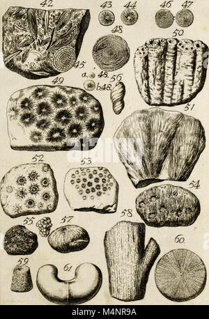 Beschreibung der Natur-Geschichten des Schweizerlands (1706) (20373747801) Banque D'Images