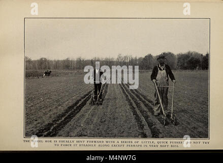 Le 'Biggle Garden Book' (1908) fournit des conseils pratiques sur la culture de légumes, de petits fruits et de fleurs. Il offre des conseils pour le plaisir et le profit, ce qui le rend précieux pour les jardiniers qui cherchent à améliorer leurs jardins ou cultiver des produits pour la vente. Banque D'Images