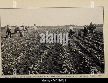 Le 'Biggle Garden Book' de 1908 offre des conseils pratiques sur la culture de légumes, de petits fruits et de fleurs, mettant l'accent à la fois sur le plaisir et la rentabilité dans le jardinage. Banque D'Images