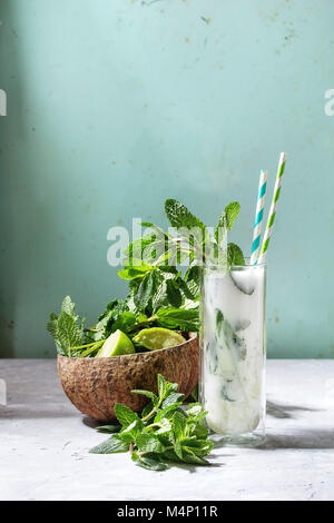 Verre de lait de coco mojito cocktail à la menthe fraîche, citron vert, glace pilée, cocktail rétro avec des ingrédients des tubes ci-dessus. Style pin up, la lumière du soleil, vert Banque D'Images