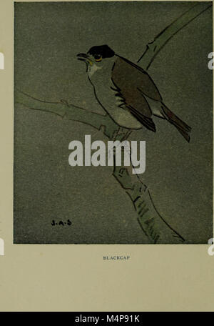 Le livre de 1913 « Bodley Head Natural History » explore divers aspects du monde naturel, du comportement animal aux systèmes écologiques, fournissant un aperçu de la science environnementale et de la diversité de la vie sur Terre. Banque D'Images