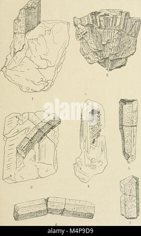 Boletn de la Real Sociedad Espaola de Historia Natural (1904-) (20200463758) Banque D'Images