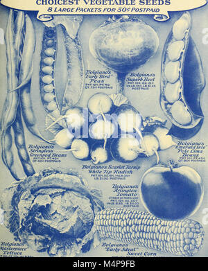 Bolgiano's capitol city seeds - 1931 (1931) (19767473654) Banque D'Images