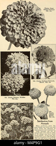 Bolgiano's capitol city seeds - 1951 (1951) (19769491753) Banque D'Images