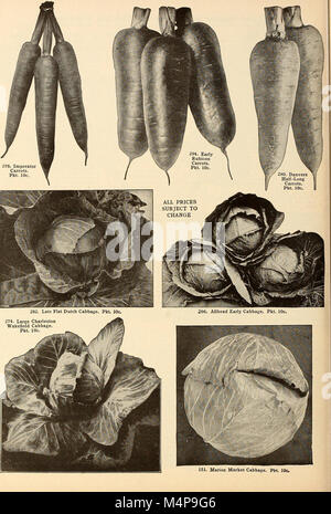 Bolgiano's capitol city seeds - 1951 (1951) (20364074446) Banque D'Images