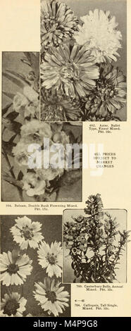 Bolgiano's capitol city seeds - 1951 (1951) (20364134426) Banque D'Images