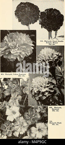 Bolgiano's capitol city seeds - 1954 (1954) (19767792984) Banque D'Images