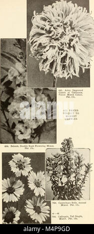 Bolgiano's capitol city seeds - 1954 (1954) (19769507693) Banque D'Images