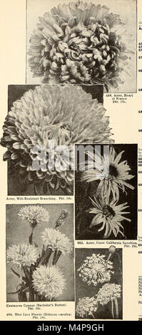 Bolgiano's capitol city seeds - 1954 (1954) (20202387560) Banque D'Images