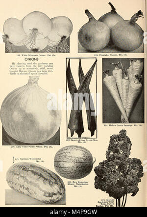 Bolgiano's capitol city seeds - 1955 (1955) (20390453075) Banque D'Images