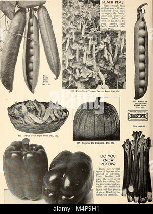 Bolgiano's capitol city seeds - 1955 (1955) (20396616261) Banque D'Images