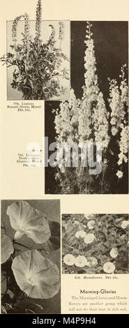 Bolgiano's capitol city seeds - 1955 (1955) (20396649651) Banque D'Images