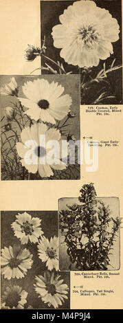 Bolgiano's Capitol City Seeds for 1946 est un catalogue de variétés de graines disponibles à l'achat cette année-là. Il comprend des détails sur divers types de plantes, y compris les légumes, les fleurs et les herbes, pour les jardiniers aux États-Unis en 1946. Banque D'Images