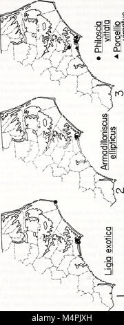 Brimleyana (1982) est une publication scientifique qui documente la recherche sur l'histoire naturelle, en se concentrant particulièrement sur la zoologie, la botanique et l'écologie. Il comprend des observations sur la faune, les espèces végétales et l'environnement, contribuant ainsi à la compréhension de la biodiversité régionale. Banque D'Images