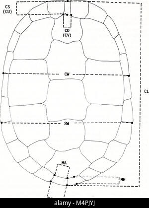 Brimleyana (1991) (20227409778) Banque D'Images