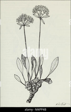 Budd's Flora des Provinces des Prairies (1987) (20232144538) Banque D'Images