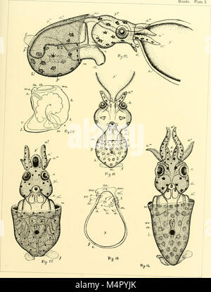 Mémoires de l'Anniversaire de Boston (Boston society of natural history ; pub. dans la célébration du cinquantième anniversaire de la fondation de la société. 1830-1880 (1880) (18235205820) Banque D'Images