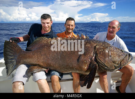 Big game fishing reel with lure on fishing boat La Réunion France   Hochsee-Angel mit Rolle und Köder auf Angelboot, La Réunion Stock Photo -  Alamy