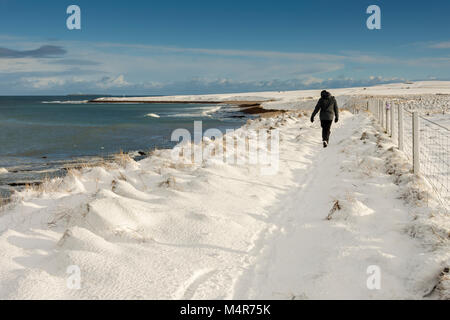 Un marcheur sur la neige couverts sentier du littoral à l'est de John O'Groats, Caithness, Ecosse, Royaume-Uni. Banque D'Images