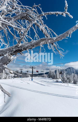 Au télésiège Anthony Lakes Mountain Resort, dans le nord-est de l'Oregon. Banque D'Images