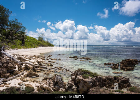 Littoral, Denis Private Island, Seychelles Banque D'Images