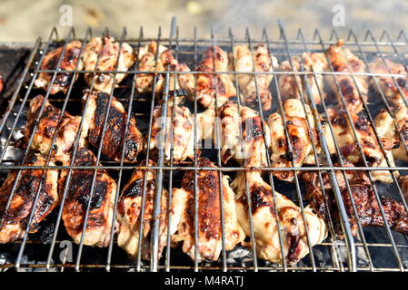 StyleBarbecue iranienne avec l'oignon et la tomate dans le parc Banque D'Images