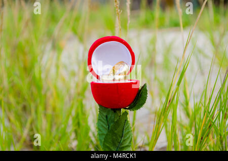 Fort de l'Alliance en forme de rose, ouvert avec les anneaux de mariage en sur un arrière-plan flou, vert Banque D'Images