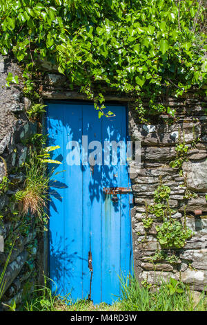 Porte en bois bleu rustique à cultiver outhouse Banque D'Images