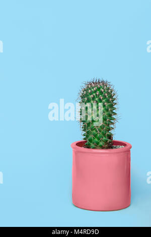 Cactus dans un pot rose sur un fond bleu pastel avec copie espace Banque D'Images