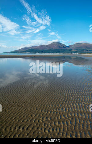 Les montagnes de Mourne reflète dans Murlough, Murlough Réserve Naturelle, comté de Down, Irlande du Nord. Banque D'Images