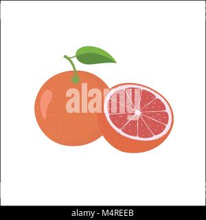 Ensemble et la moitié de pamplemousse rose, de mûres pelées style croquis Illustration de Vecteur