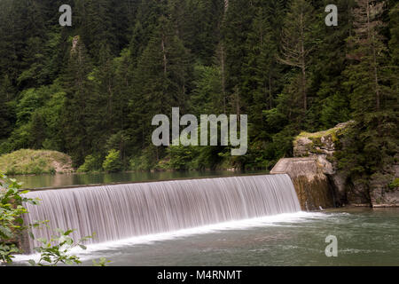 Ceci est une belle photographie de paysage d'une petite cascade entourée d'une forêt dense d'arbres à feuilles persistantes. L'eau paisible coule. Banque D'Images